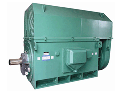 Y6301-8YKK系列高压电机