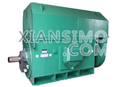 Y6301-8YXKK(2极)高效高压电机技术参数
