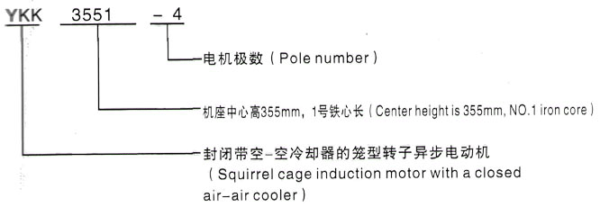 YKK系列(H355-1000)高压Y6301-8三相异步电机西安泰富西玛电机型号说明