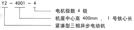 YR系列(H355-1000)高压Y6301-8三相异步电机西安西玛电机型号说明